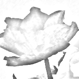 Pencil Sketch 024